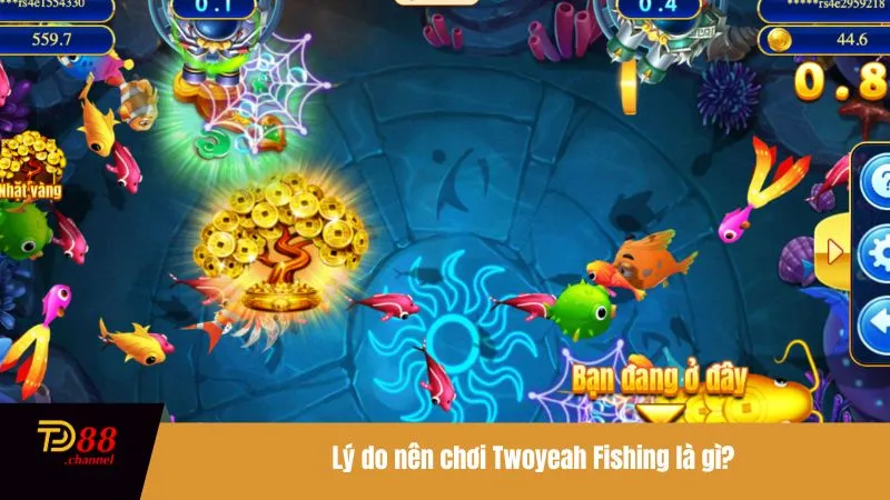 Tìm hiểu về trò chơi Chill Fishing