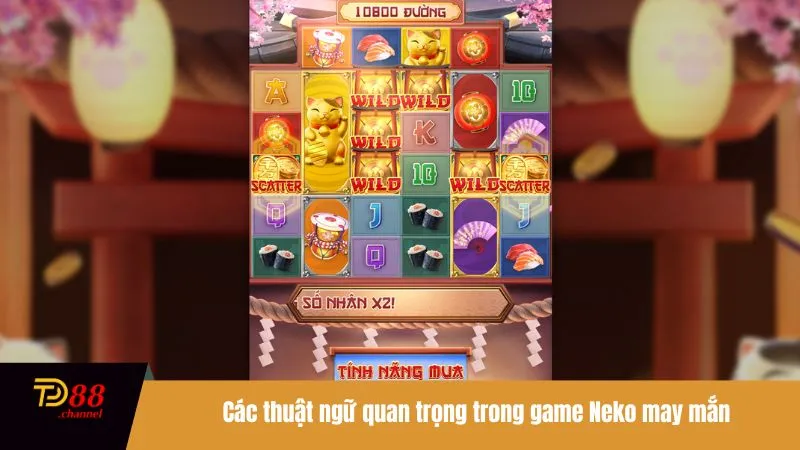 Các thuật ngữ quan trọng trong game Neko may mắn