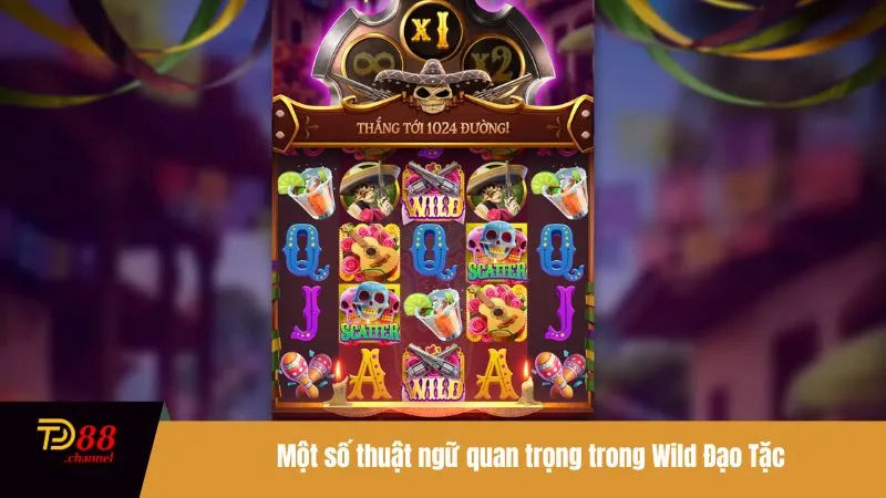 Một số thuật ngữ quan trọng trong Wild Đạo Tặc