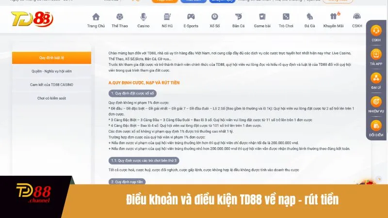 Điều khoản và điều kiện TD88 về nạp - rút tiền