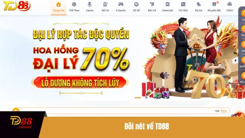 Đôi nét về TD88