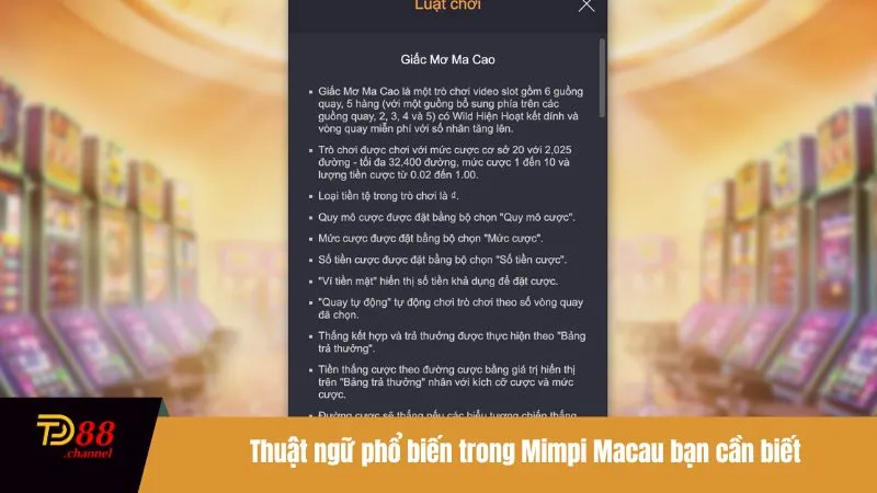 Thuật ngữ phổ biến trong Mimpi Macau bạn cần biết