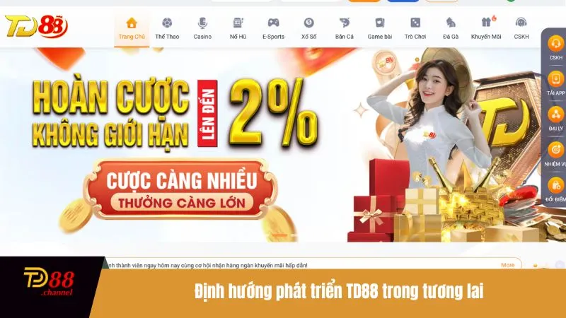 Định hướng phát triển TD88 trong tương lai