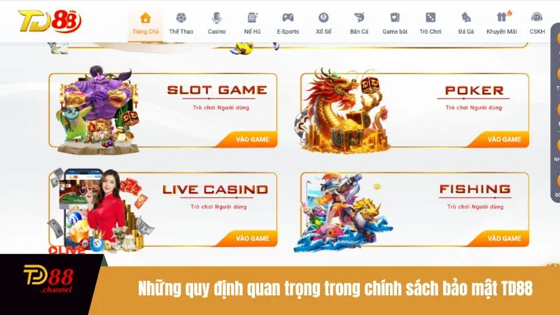 Những quy định quan trọng trong chính sách bảo mật TD88