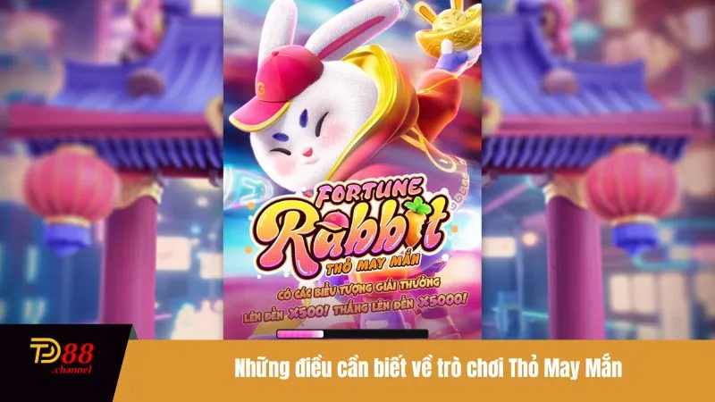 Những điều cần biết về trò chơi Thỏ May Mắn
