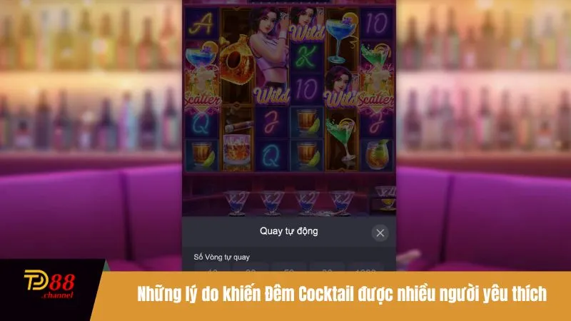 Những lý do khiến Đêm Cocktail được nhiều người yêu thích